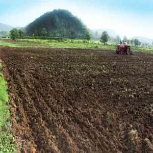 Farming-Land
